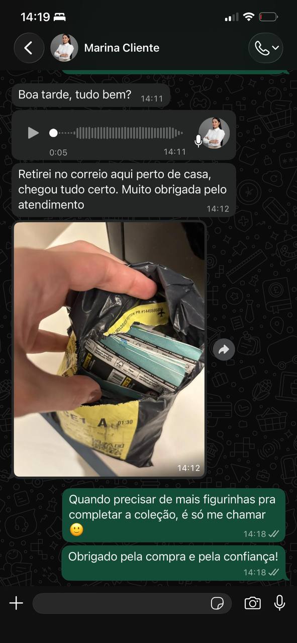 Print de WhatsApp da Marina mostrando a encomenda retirada no correio